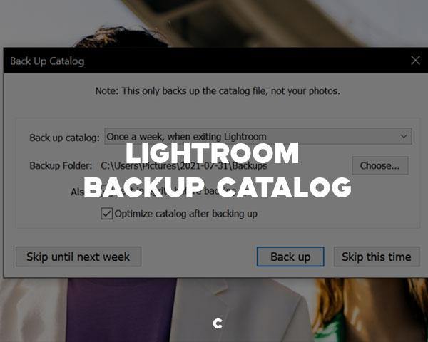 Why You Should Let Lightroom Back Up Its Catalog - CINEGRADING