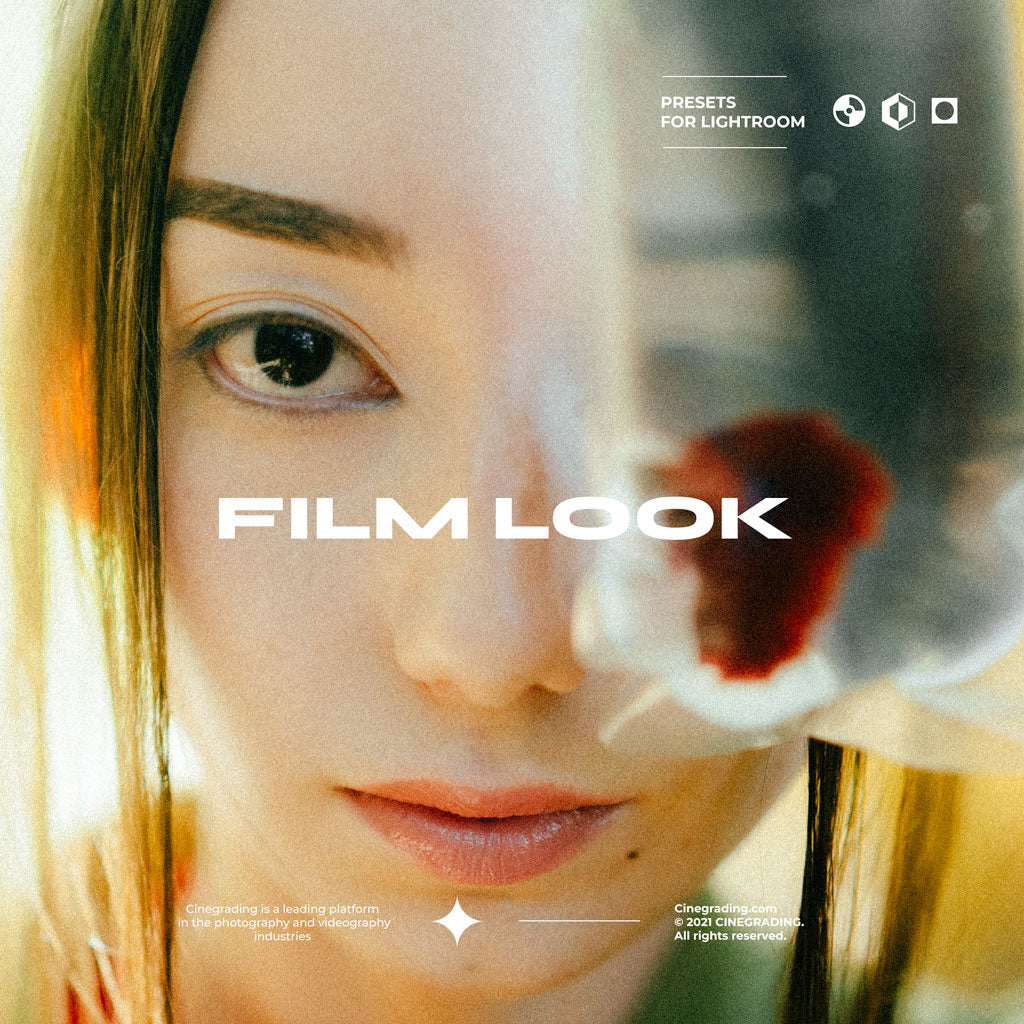 +Cine FilmX Presets 20 Film Look Example