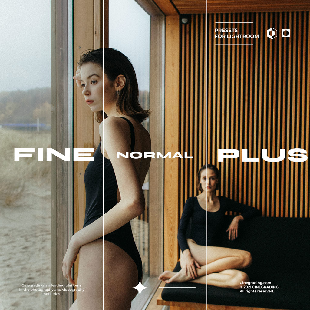 +Cine FilmX Presets 22 Modular Flexibility